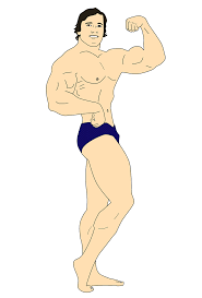 Protein powder