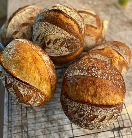 Tony's Rosemary Sourdough